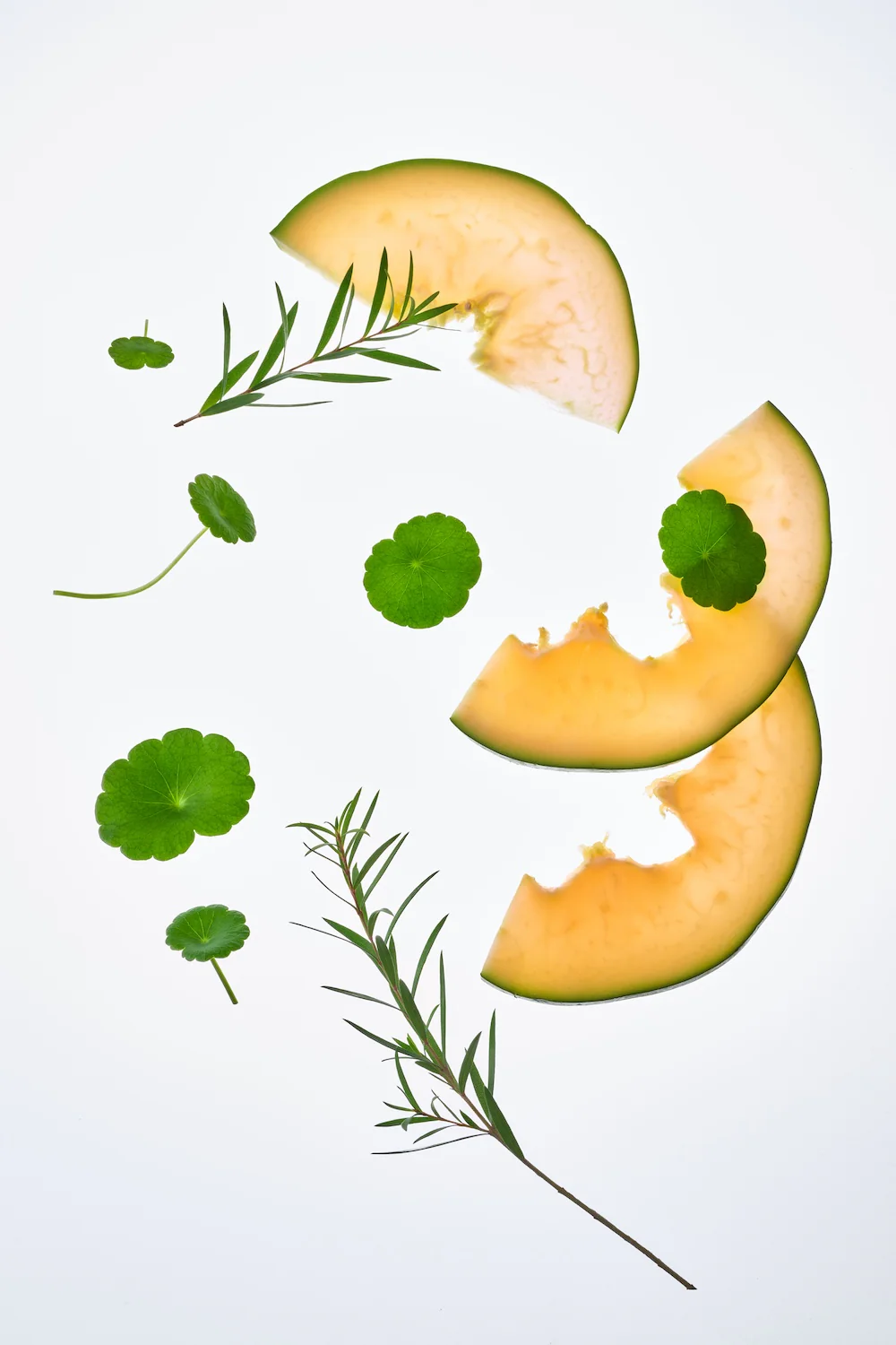 Imagen del producto 8